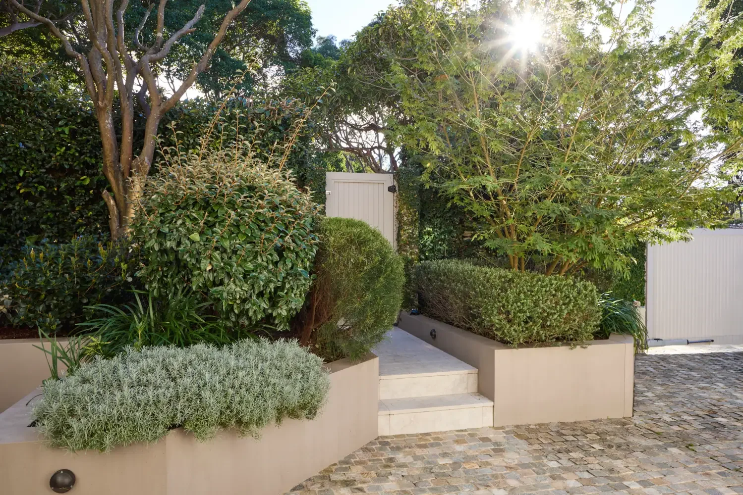Balgowlah Heights