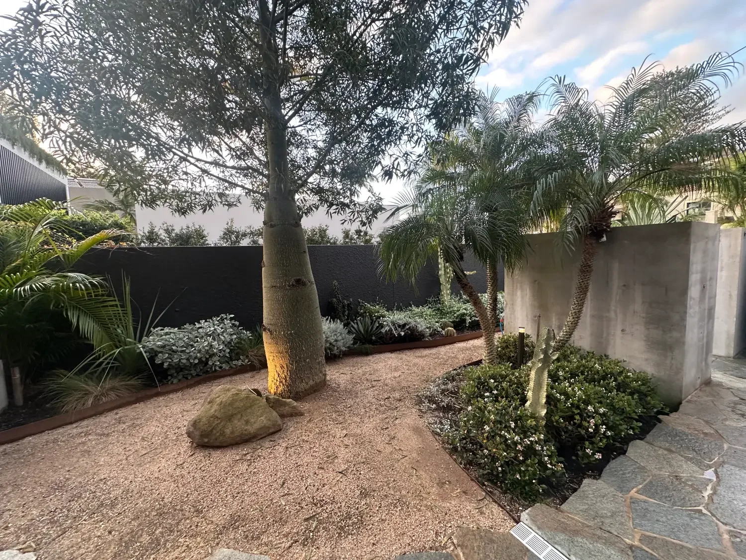 A modern backyard garden with a sandy pathway, large rocks, a variety of lush green plants, small trees, and a concrete wall under a partly cloudy sky.