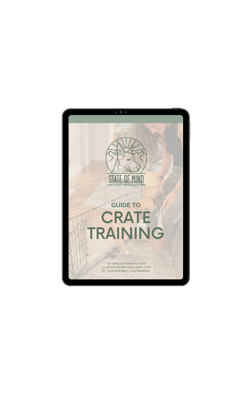 Crate Training Guide Cover Web Image.png
