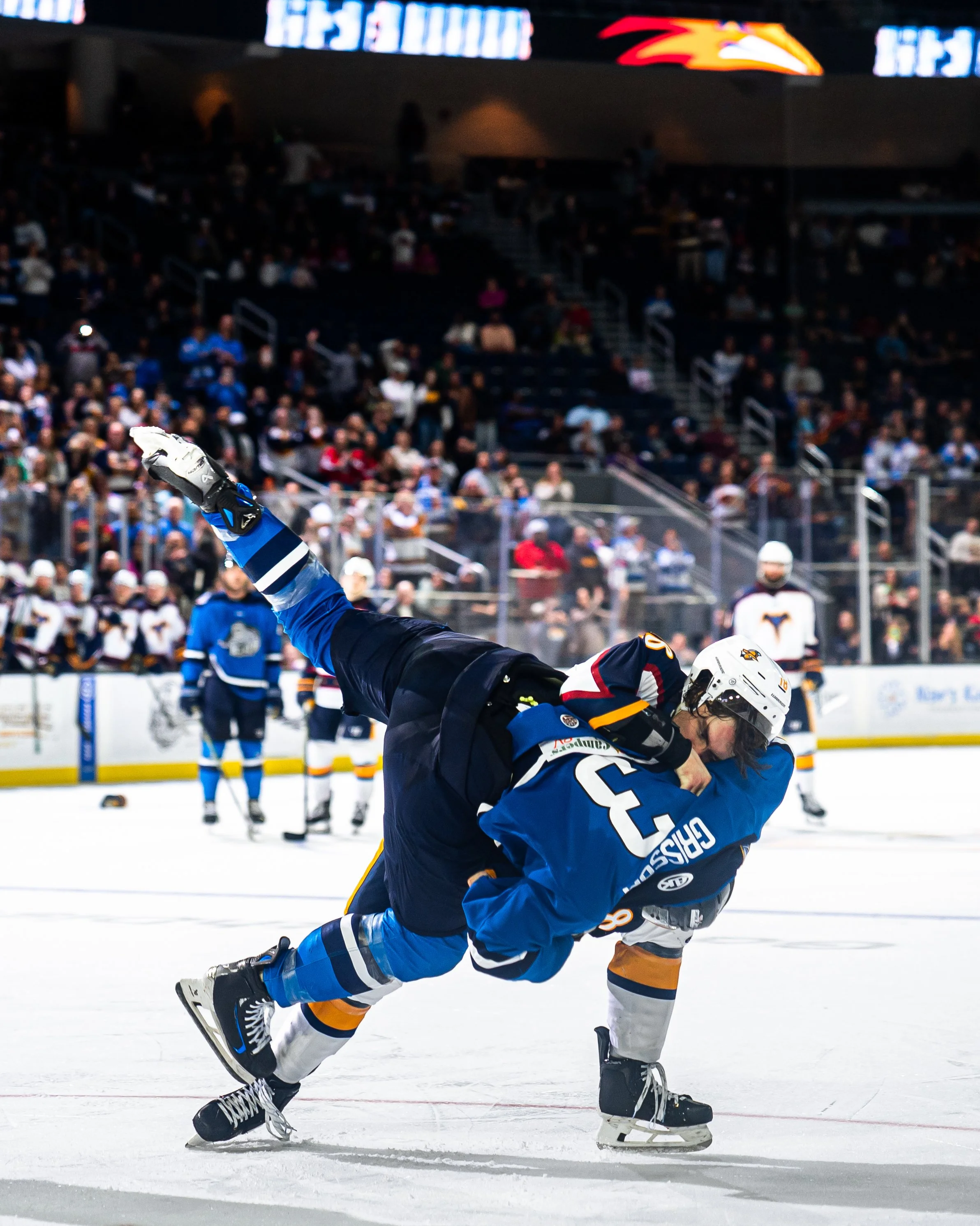 20260328_Glads_SB14494.jpg