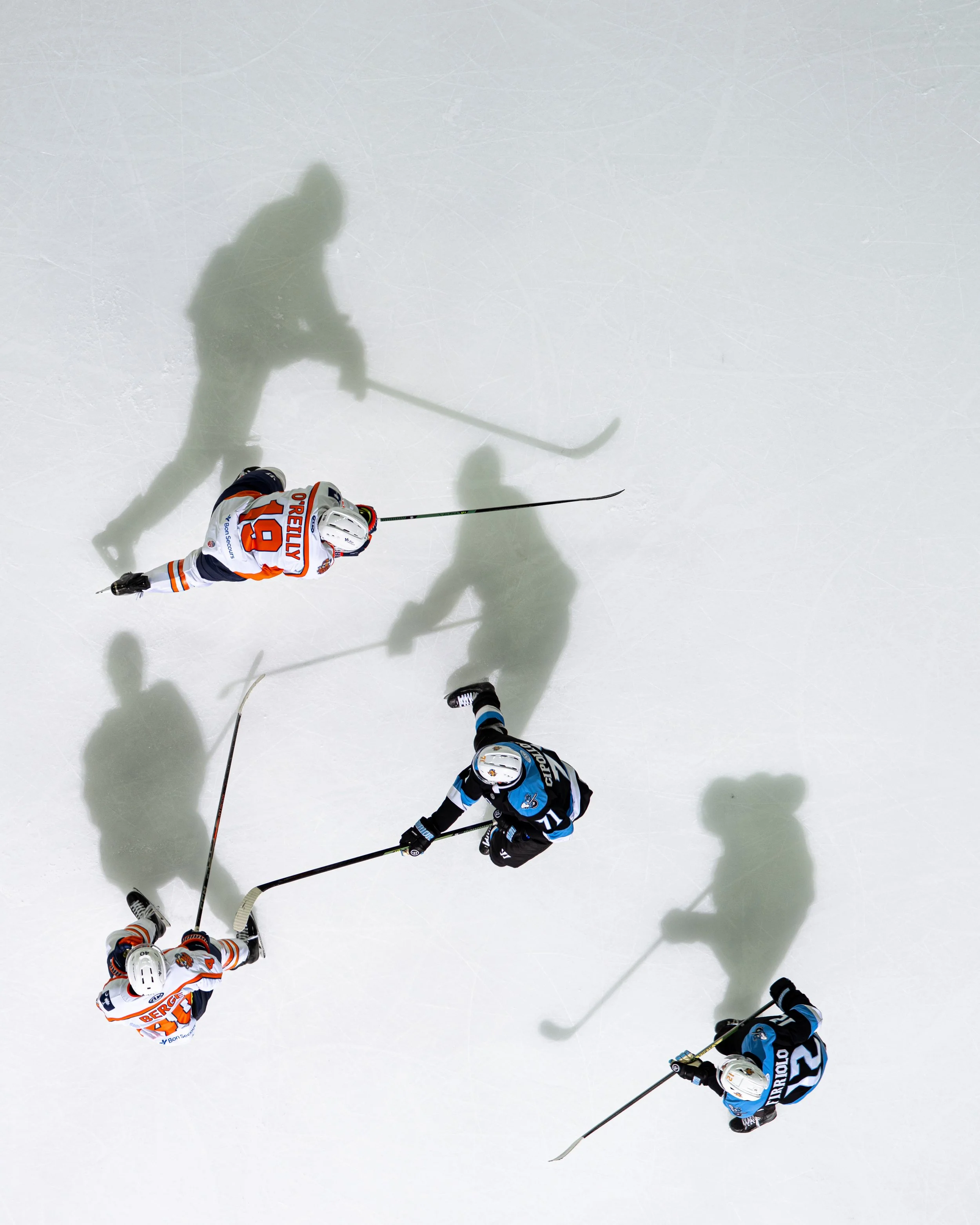 20251130_Glads_20251130_Glads_SB106330.jpg