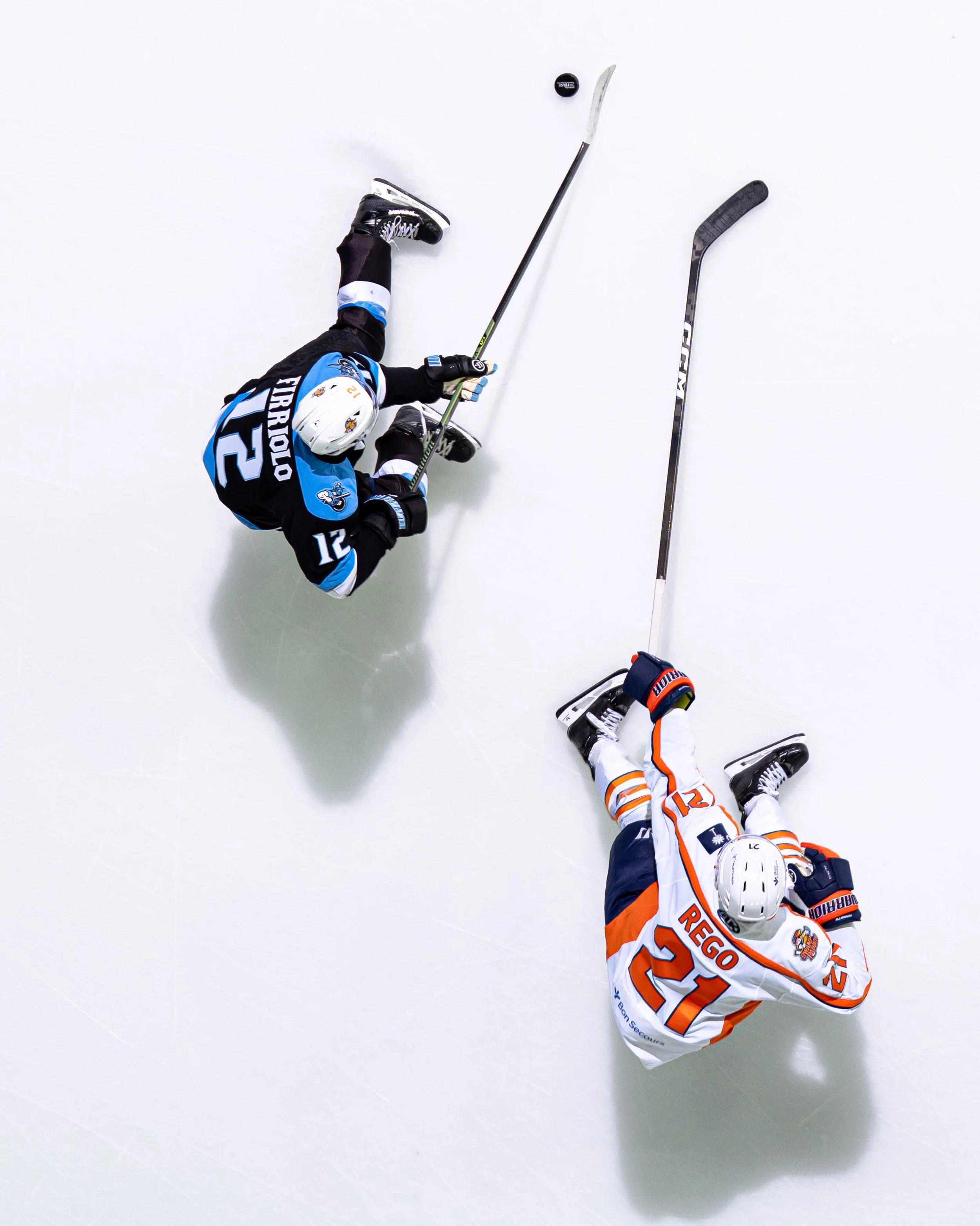 20251129_Glads_20251129_Glads_SB105066.jpg