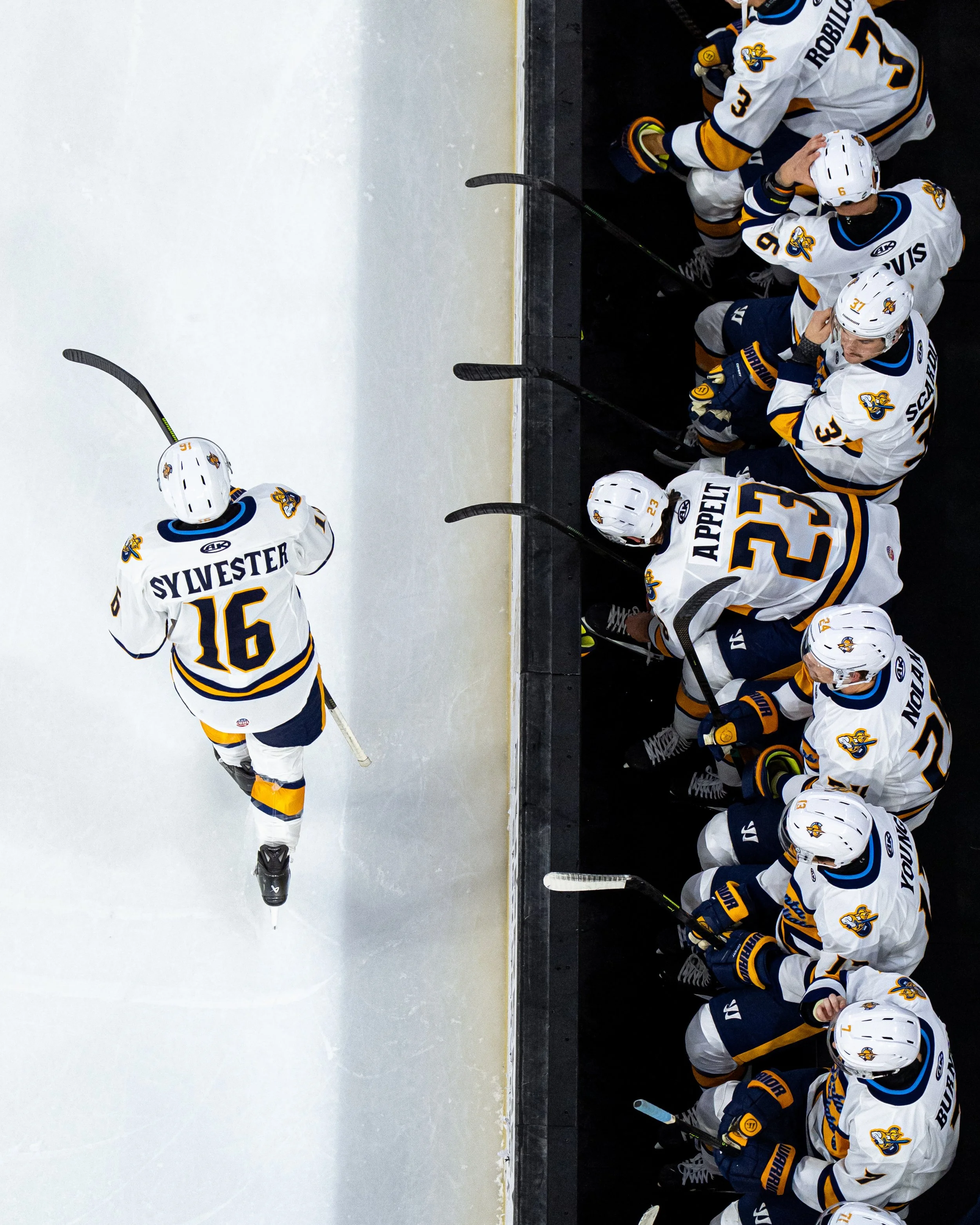 20251123_Glads_SB109227.jpg