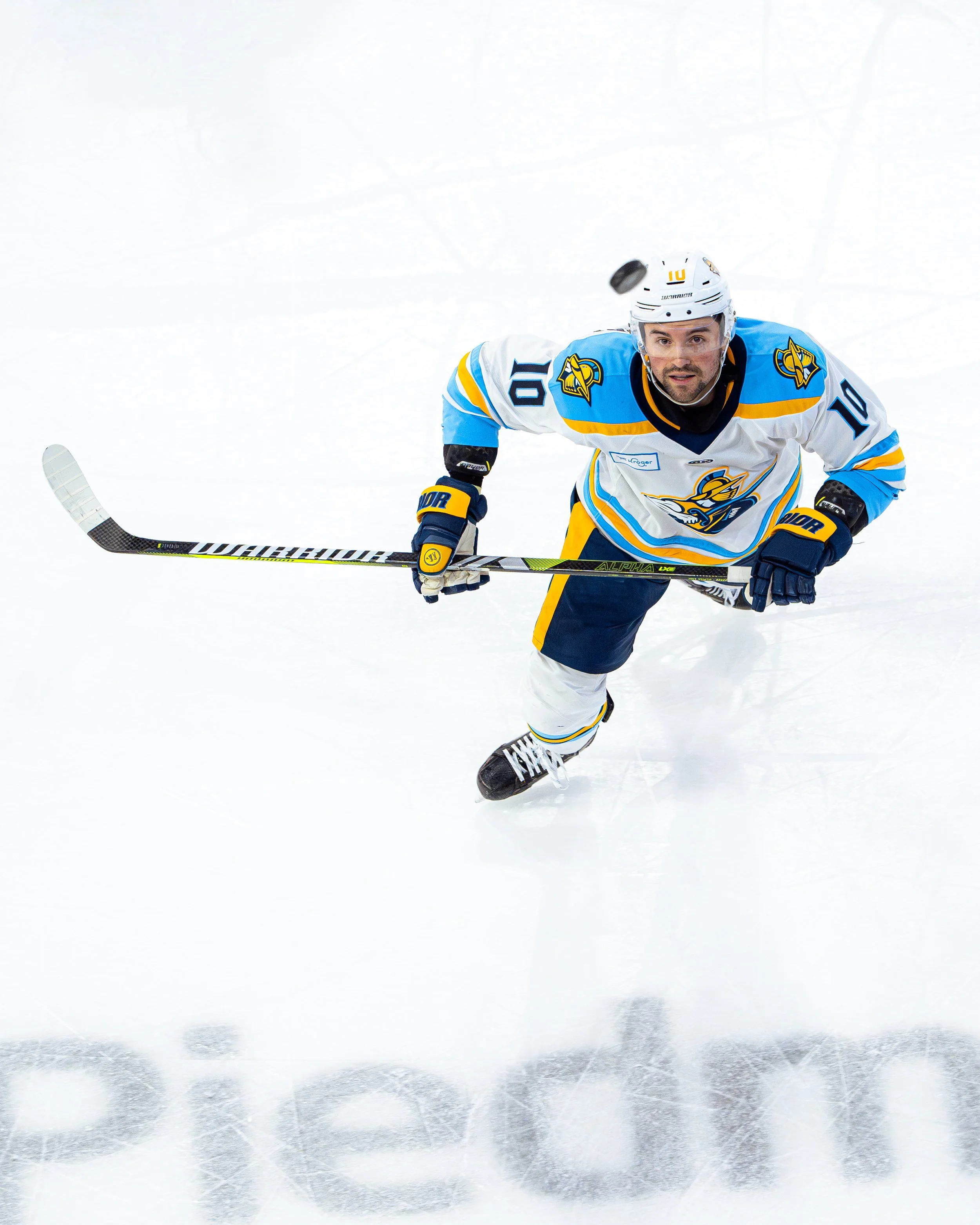 20250103_Glads-SB106429-Enhanced-NR.jpg