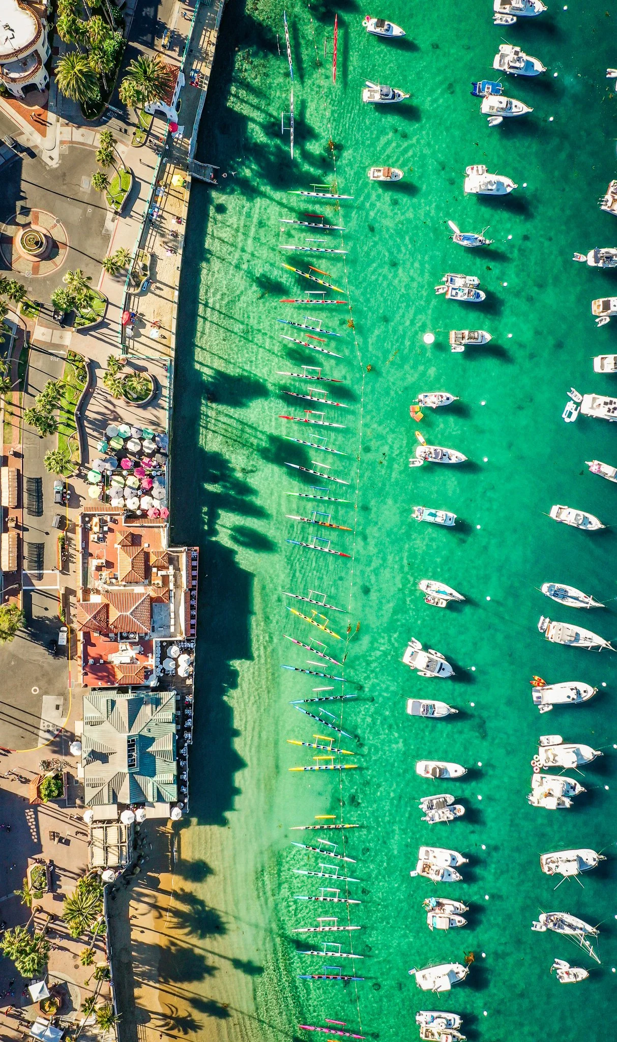 DJI_0459.JPG