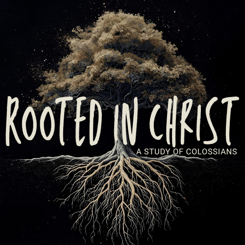 The New Self - Identified by Christ - Colossians 3:12-17 episode artwork
