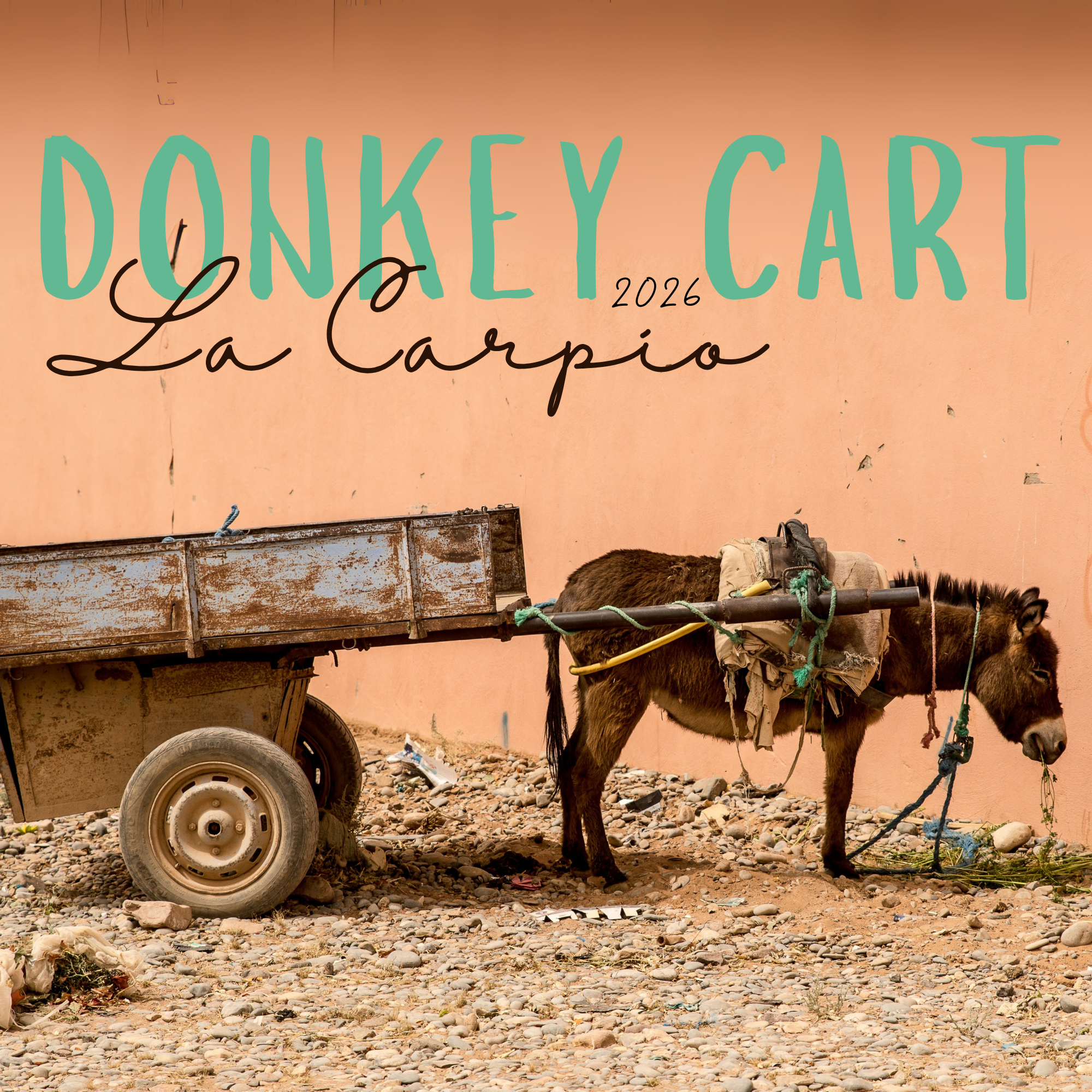 La Carpio Mission Trip