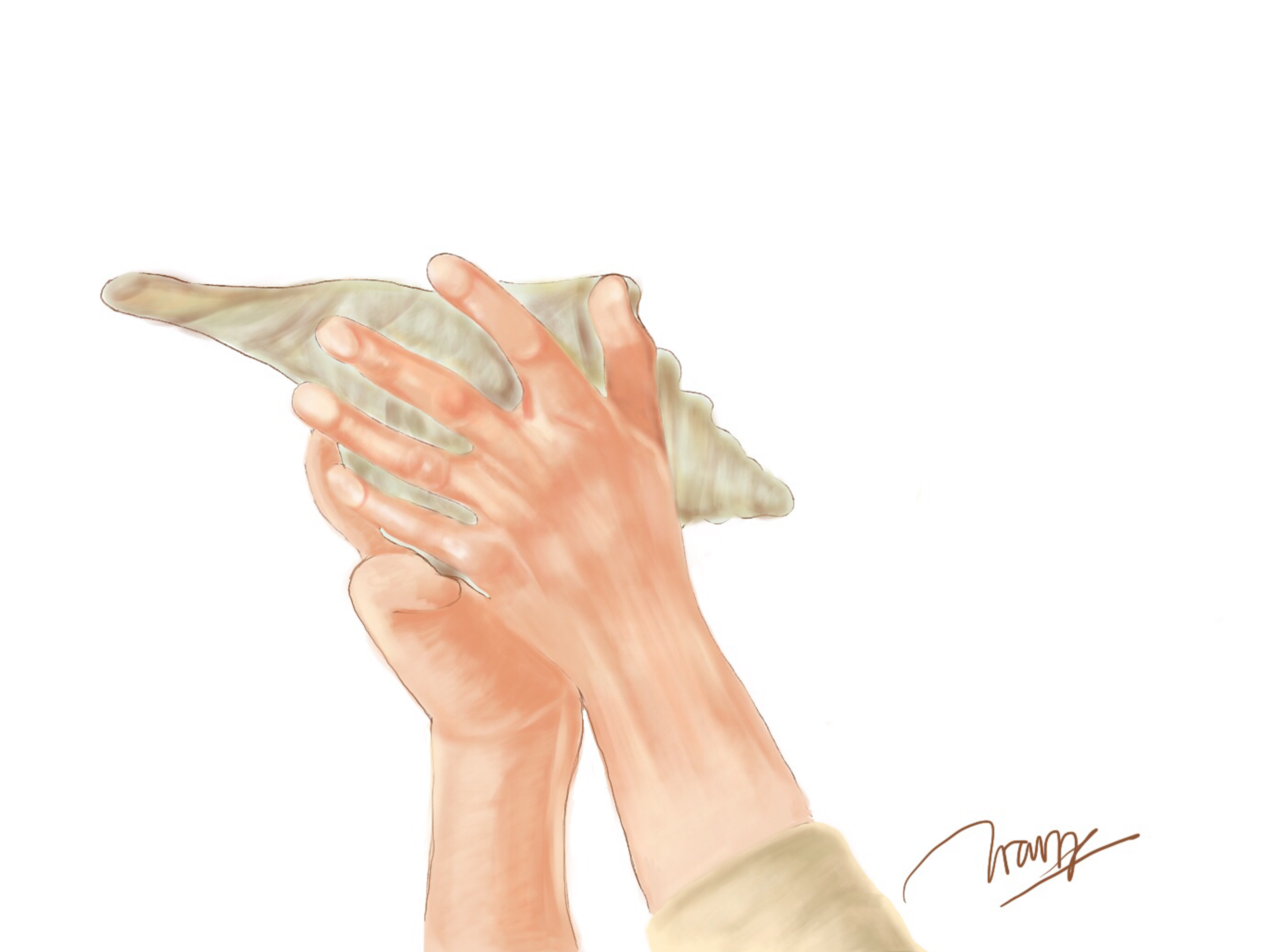 IMG_6428 2.PNG