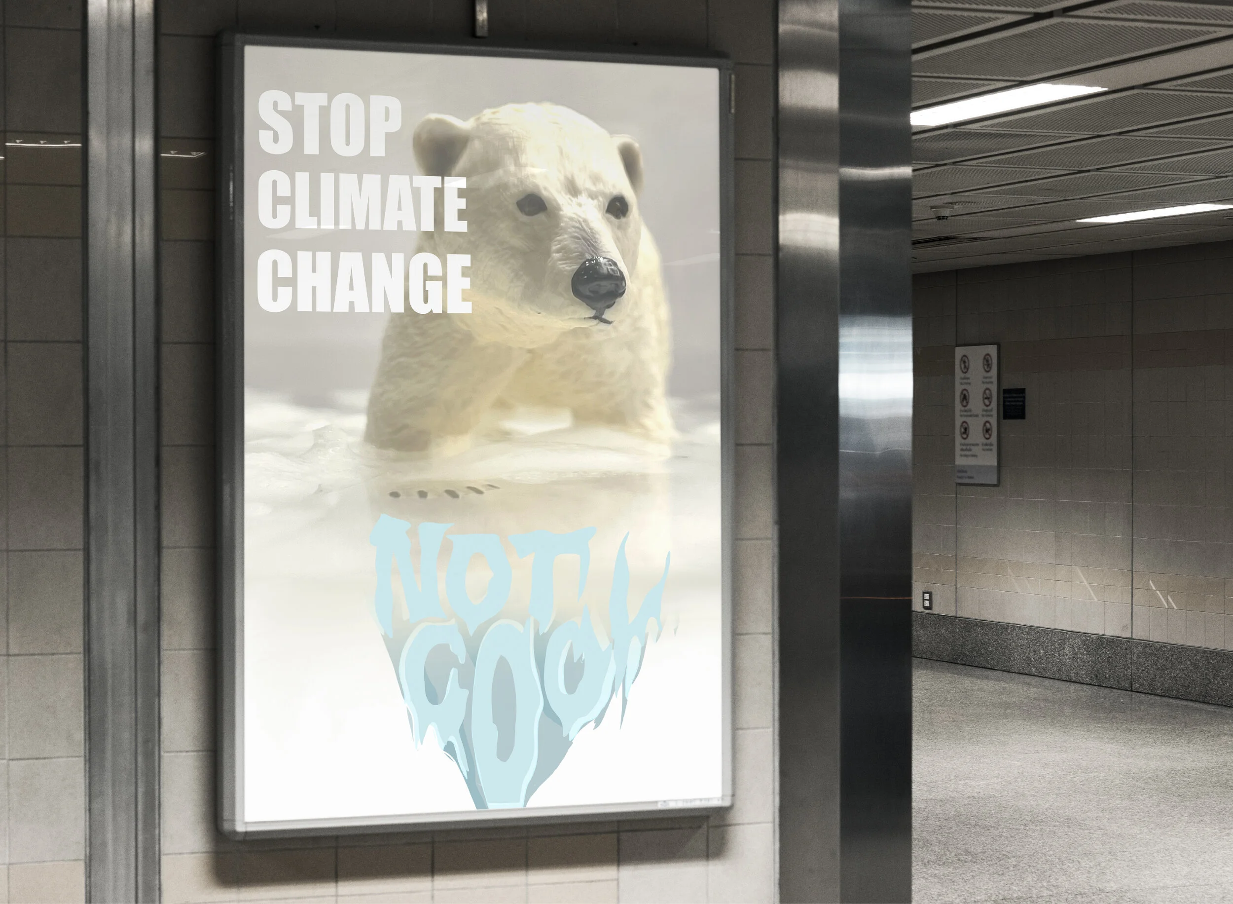 Climate Change Posters