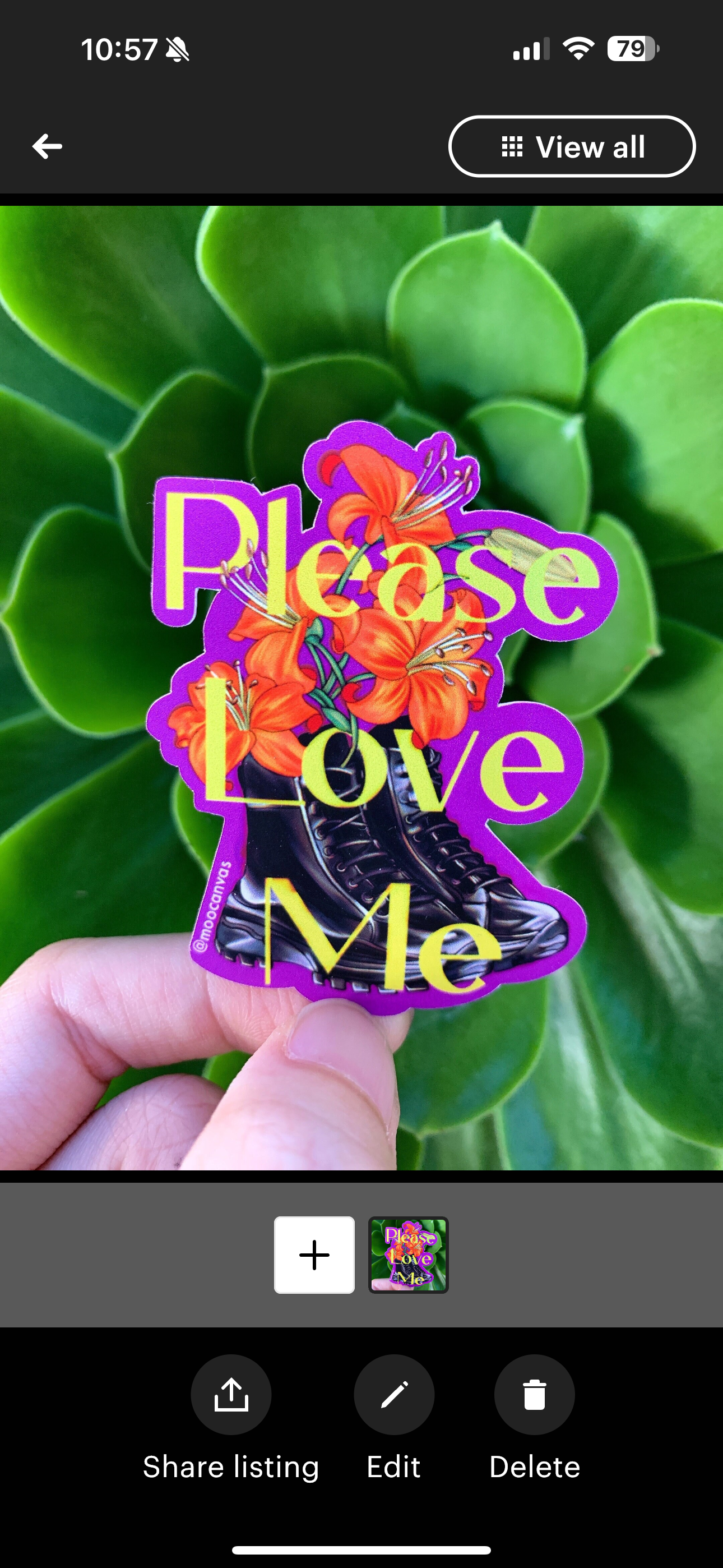 IMG_5058.PNG
