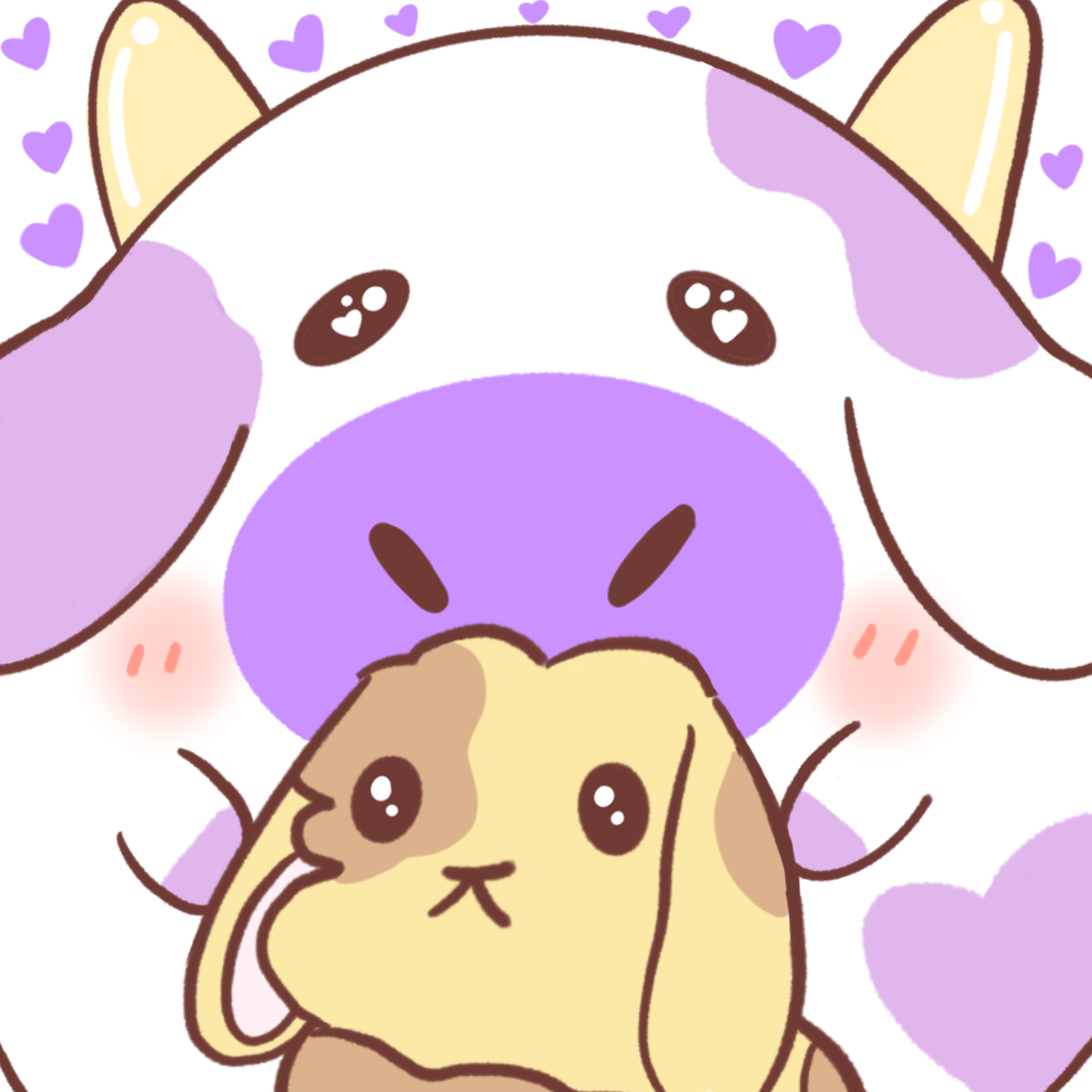 IMG_2395.PNG