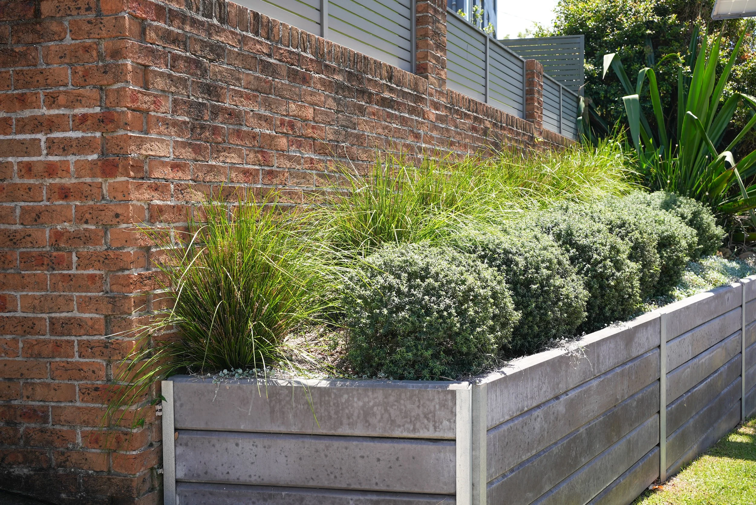 Layout and planting at the front of a house.