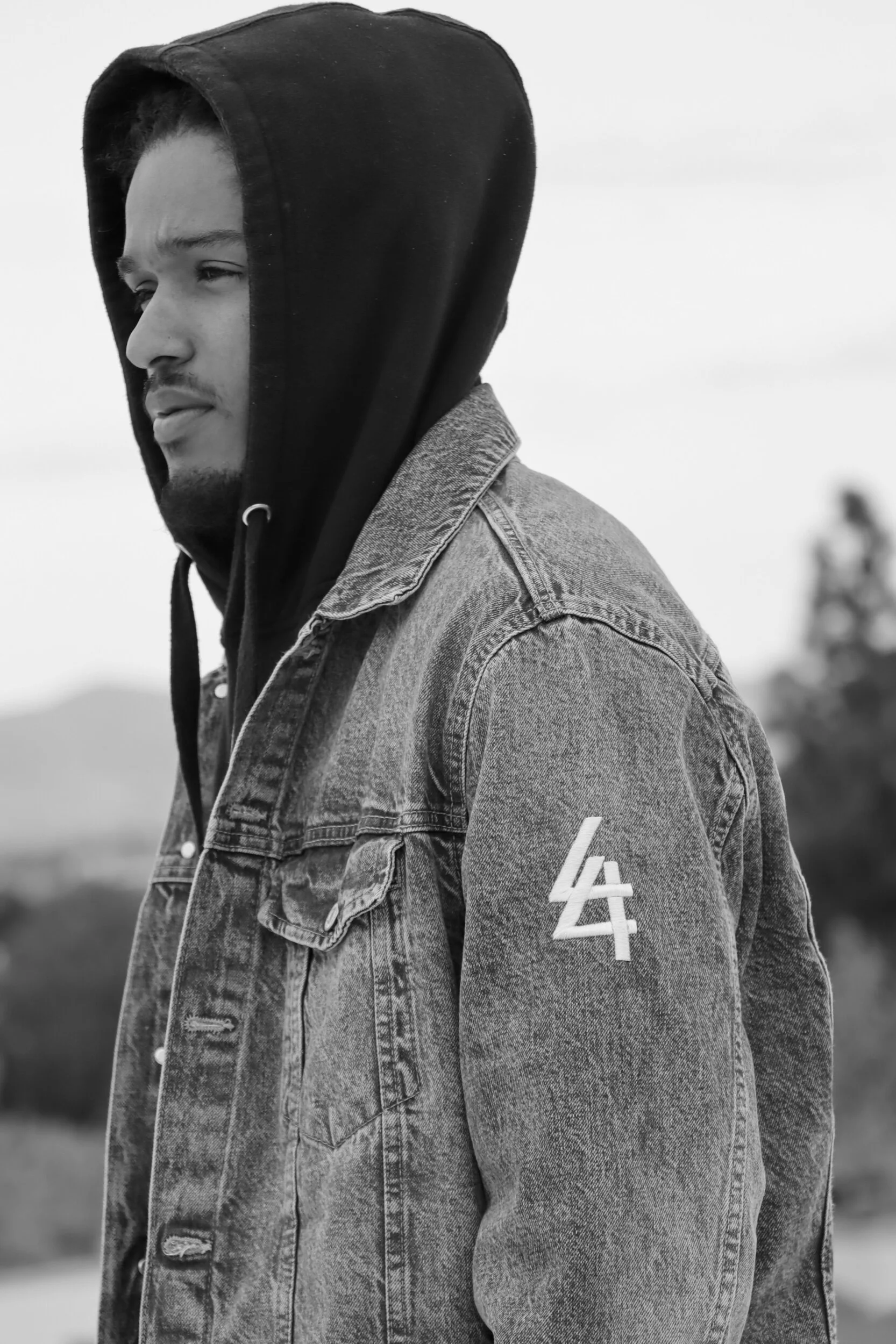 4L