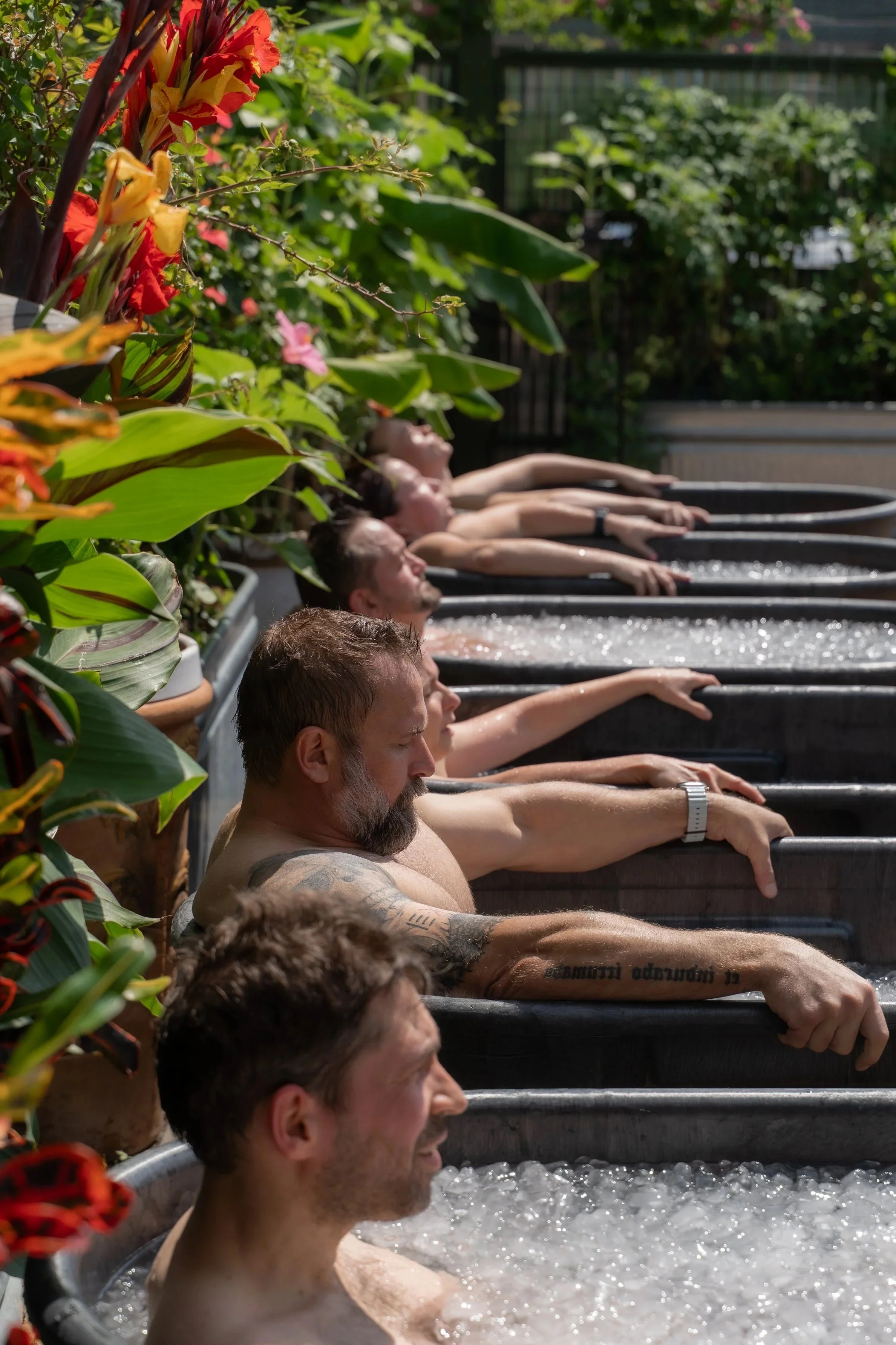 icebath.jpg