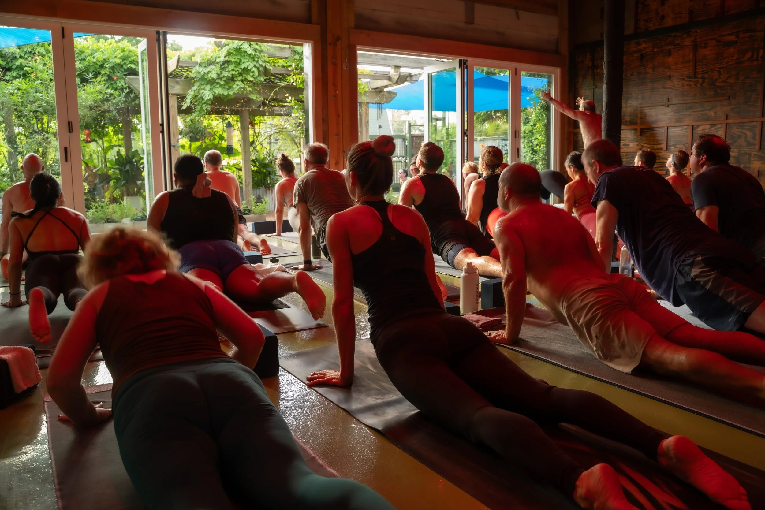 yoga class shot from behind with all students in upward facing dog looking out glass doors