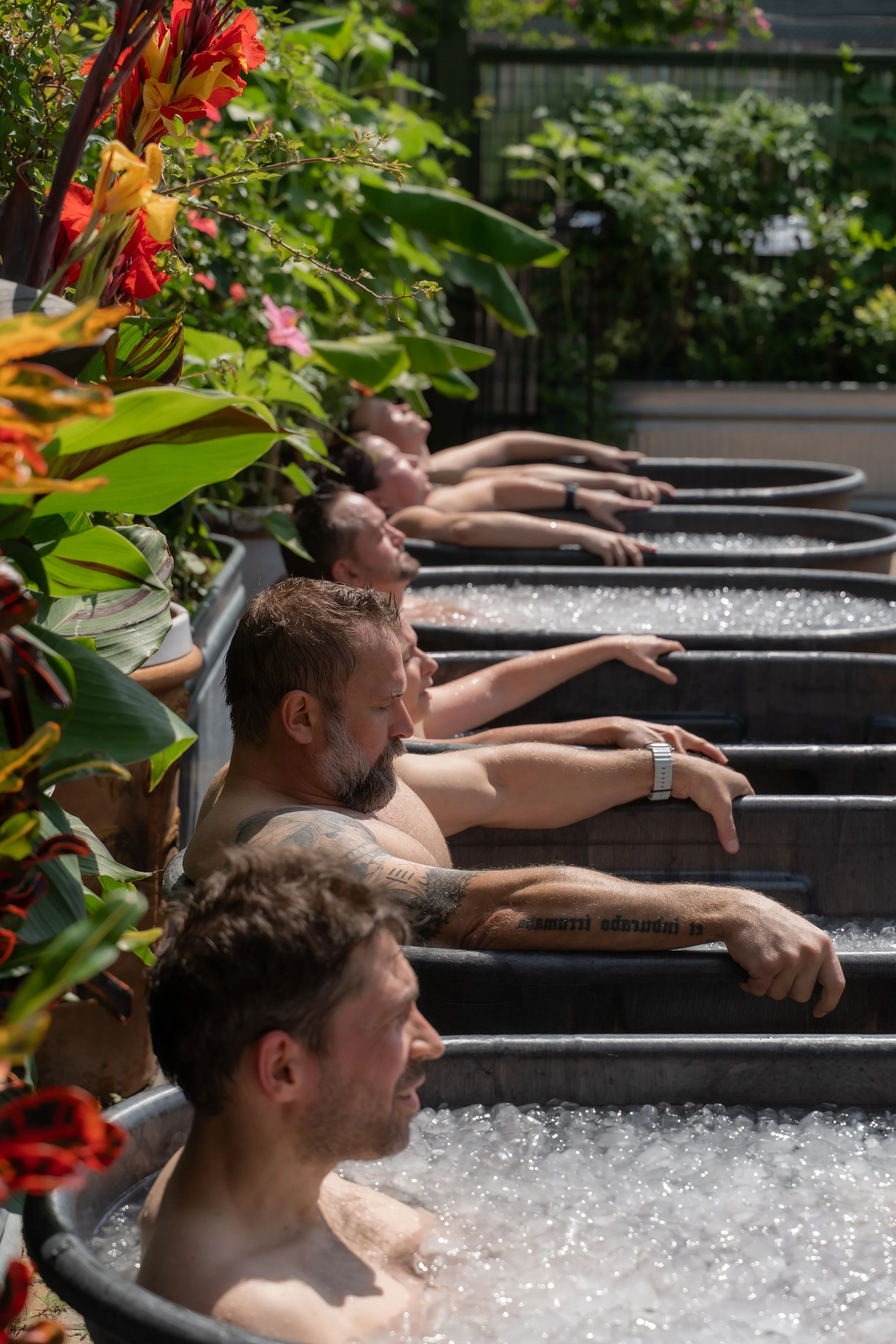 5 adults in seperate ice bath troughs with a flower wall behind them and the sun shining down by photographer Lenee Love