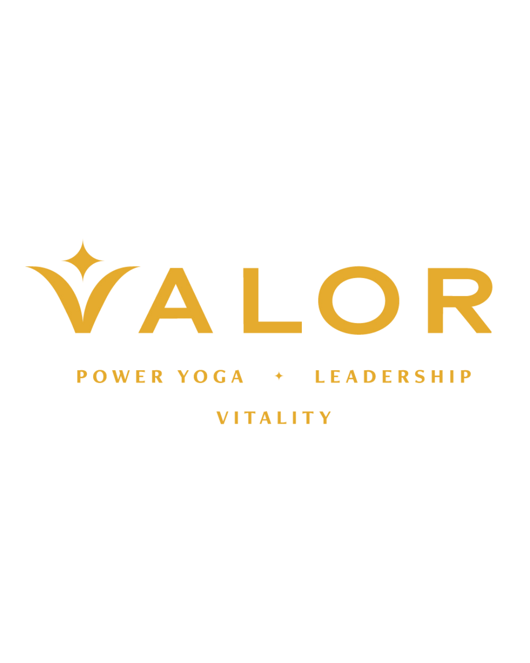 Lenee Love did fitness and brand photography for Valor. Valor logo with a check mark and star design, text reading Power Yoga, Leadership, and Vitality.