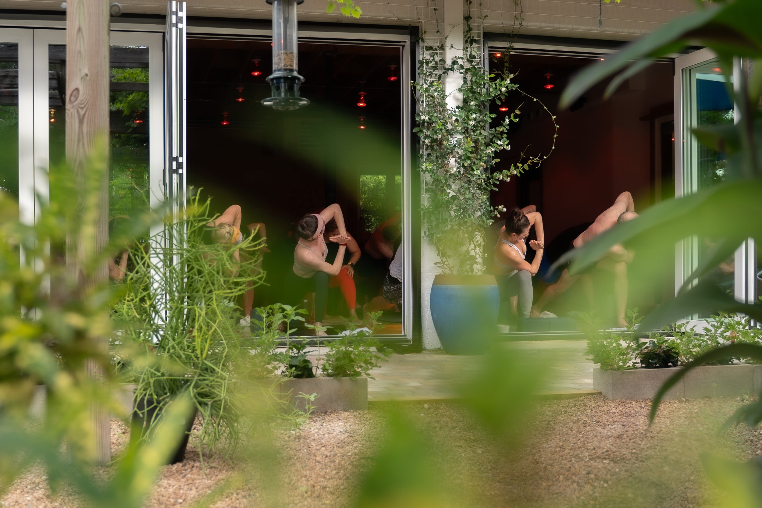 yogagardentwist.jpg