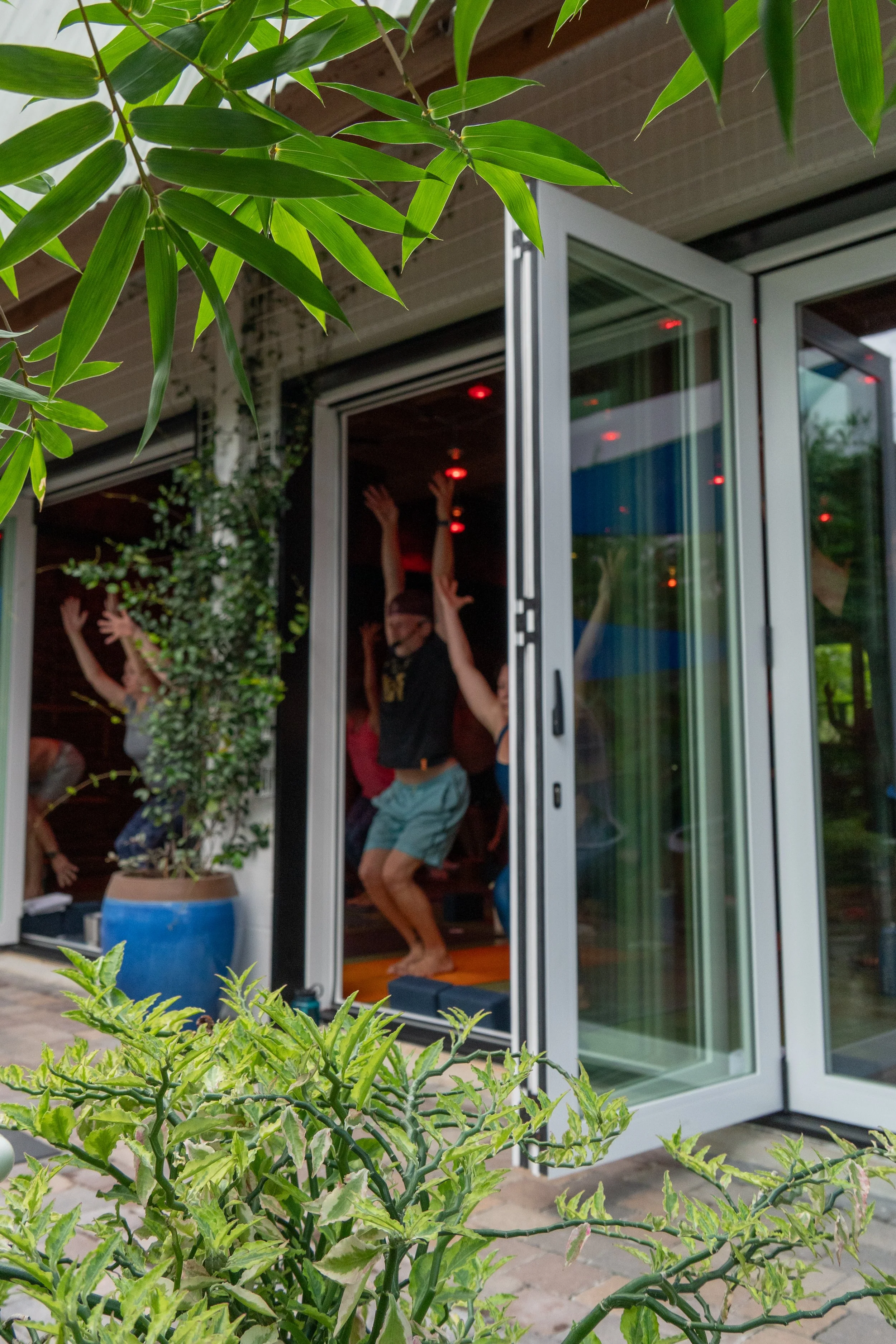 yoga class through the trees showing glass doors that open and red lights on the ceiling by photographer Lenee Love