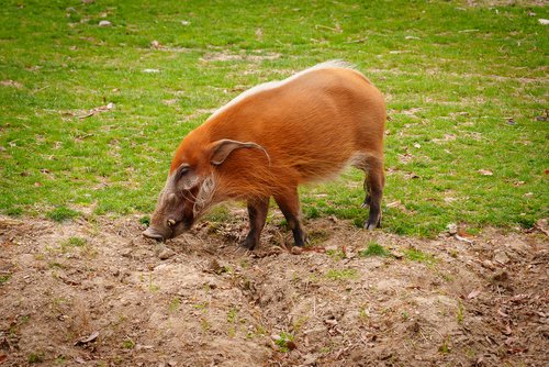 Philly Zoo 2024-196.jpg