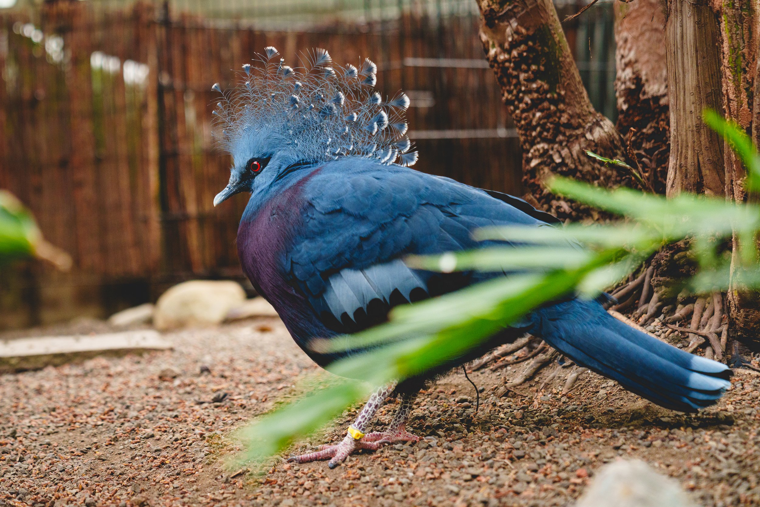 Philly Zoo 2024-149.jpg