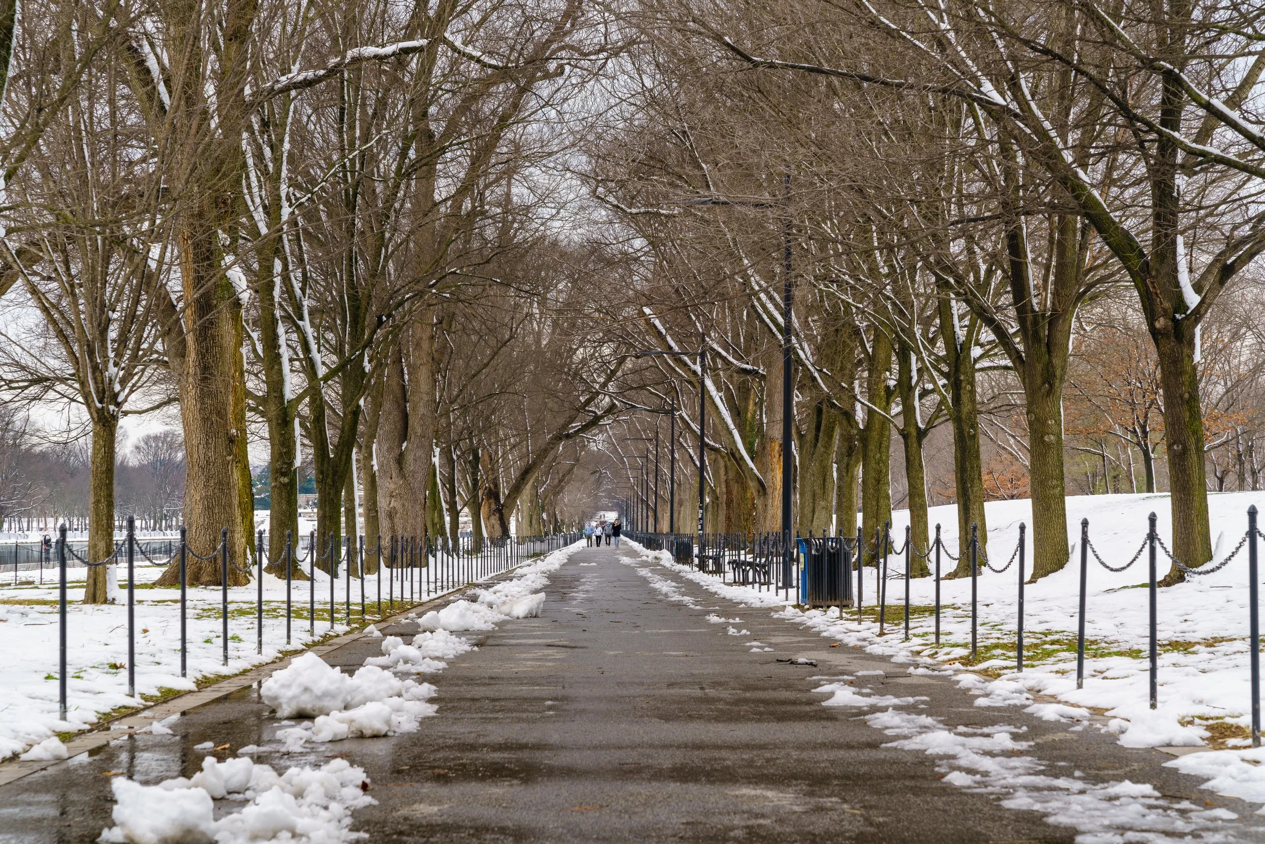 The side walk leading to the Lincoln Memorial.