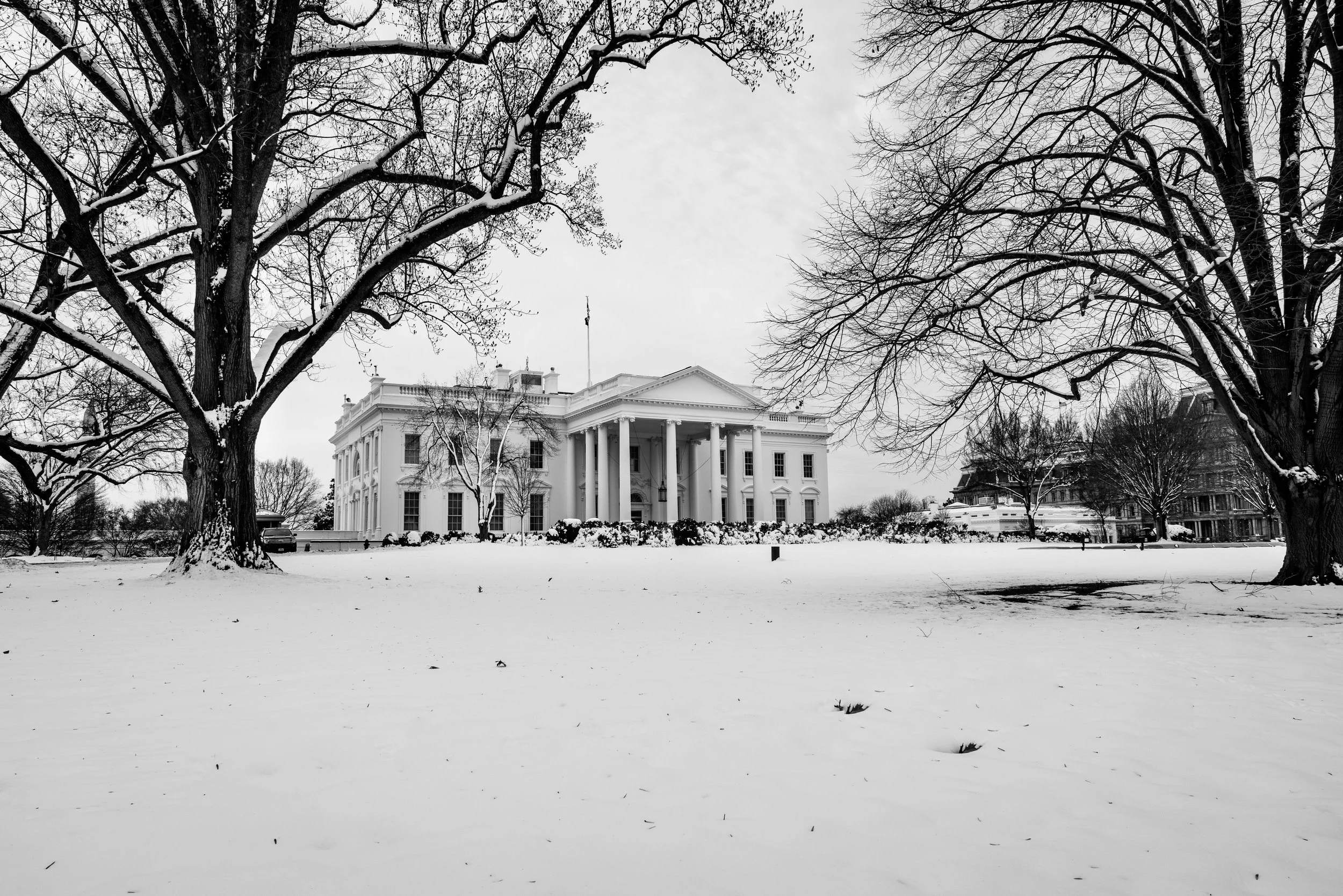 The White House in black and white.