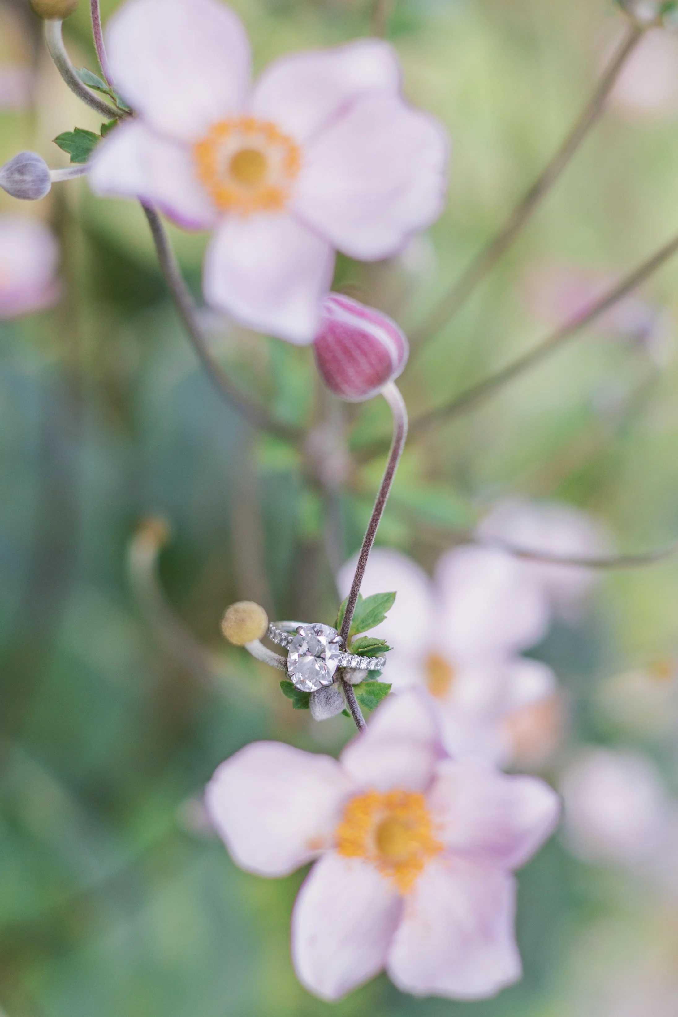 Brandon and Grace Engagement 11.jpg