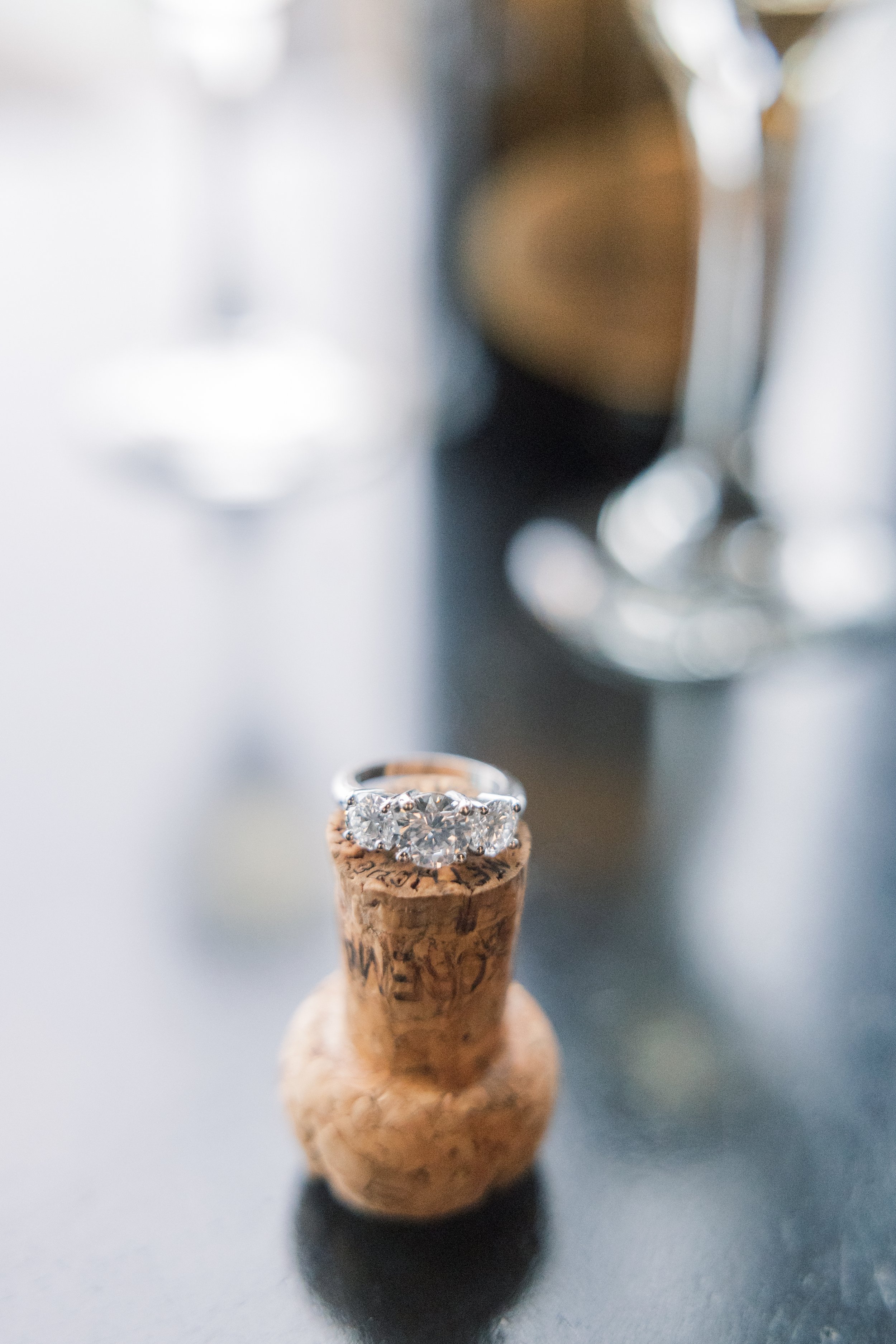 Laura Gares Photo - Sal and Elizabeth Eng 99.jpg