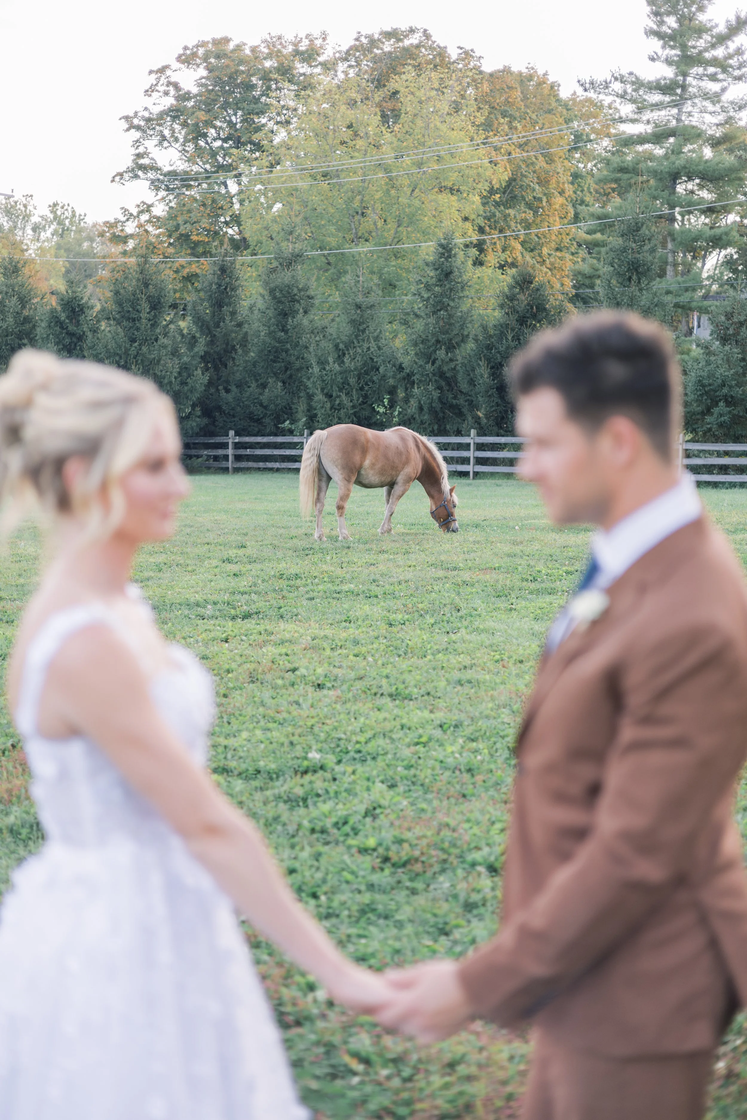 LGP - Durham Hill Farm Shoot 208.jpg