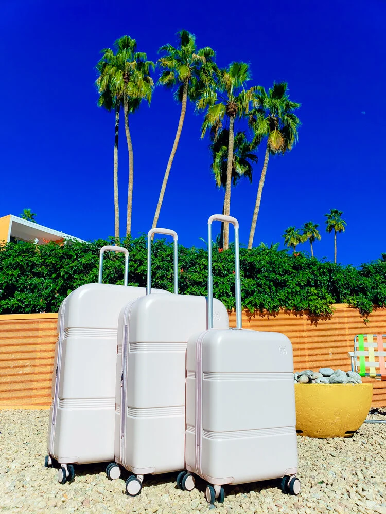Speck suitcases under palm trees