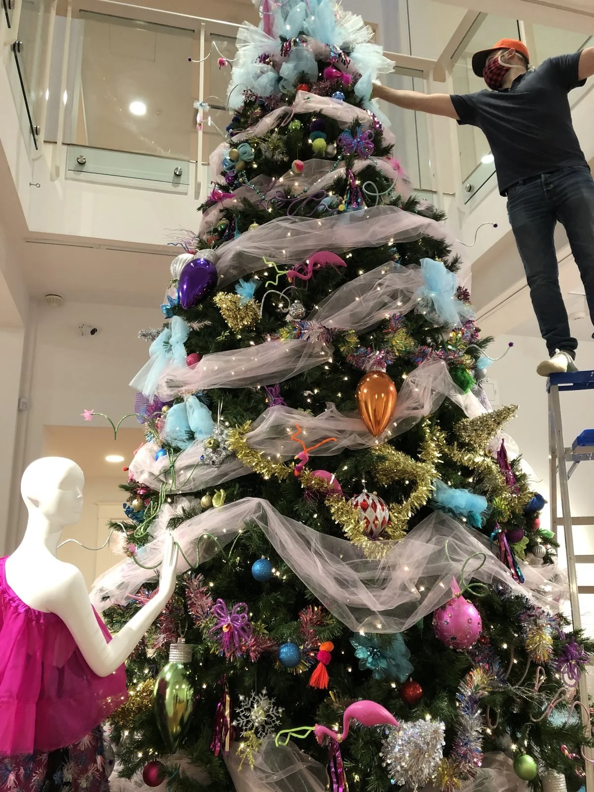 Installing the Christmas tree inside the Cornell Museum atrium
