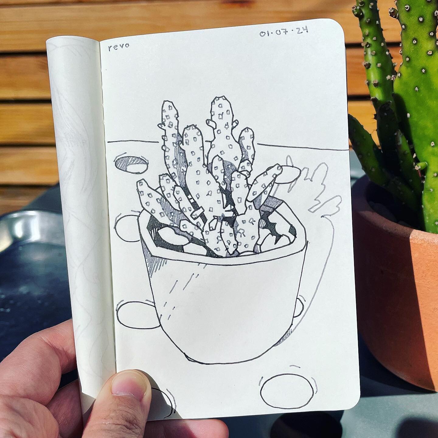 just a cactus

#sketchbook #ink #moleskine #inkdrawing #pendrawing #cactus #cactusart #winsorandnewton #carlsbad