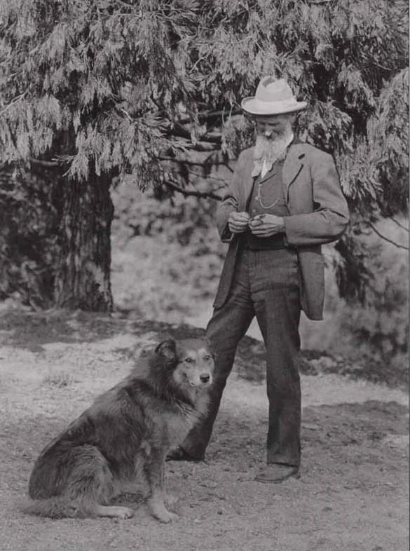 The Bravest Dog in Alaska: Glacier Bay National Park