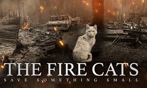 Rouge Rescuers &amp; The Fire Cats