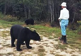 Demise of the Bear Lady: Alligator River National Wildlife Refuge