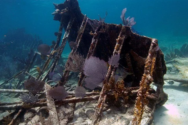 What is Buried Beneath the Sea? Biscayne National Park