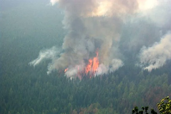 Surviving the Trapper Fire: Glacier National Park