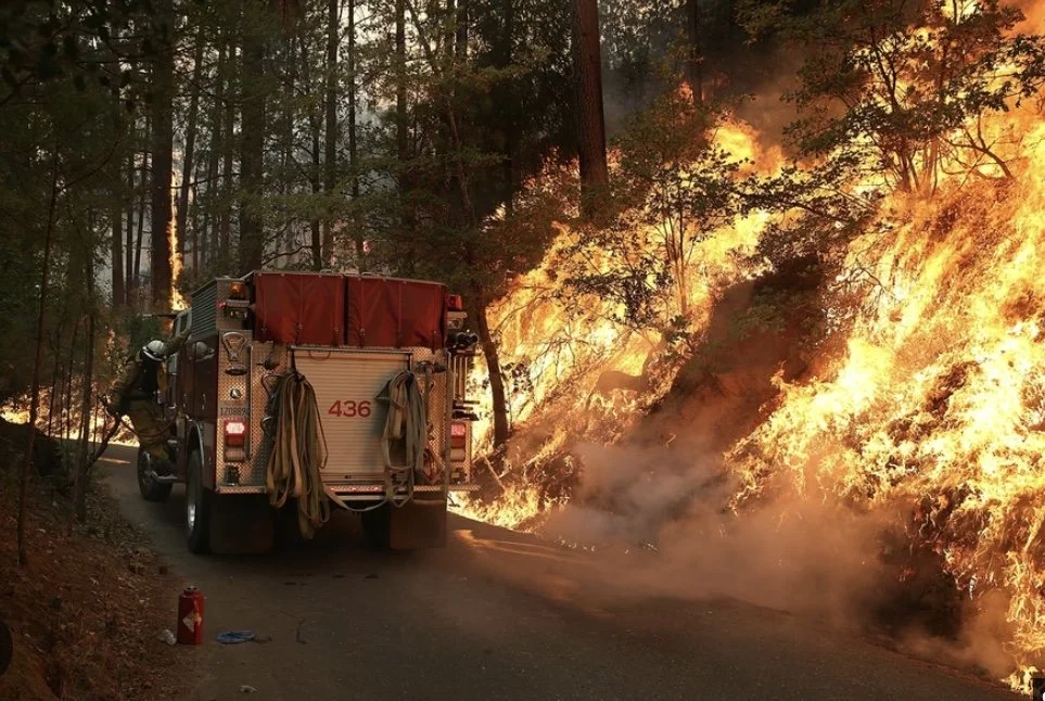 Wildfire or a DEA Cover-up? Yosemite National Park