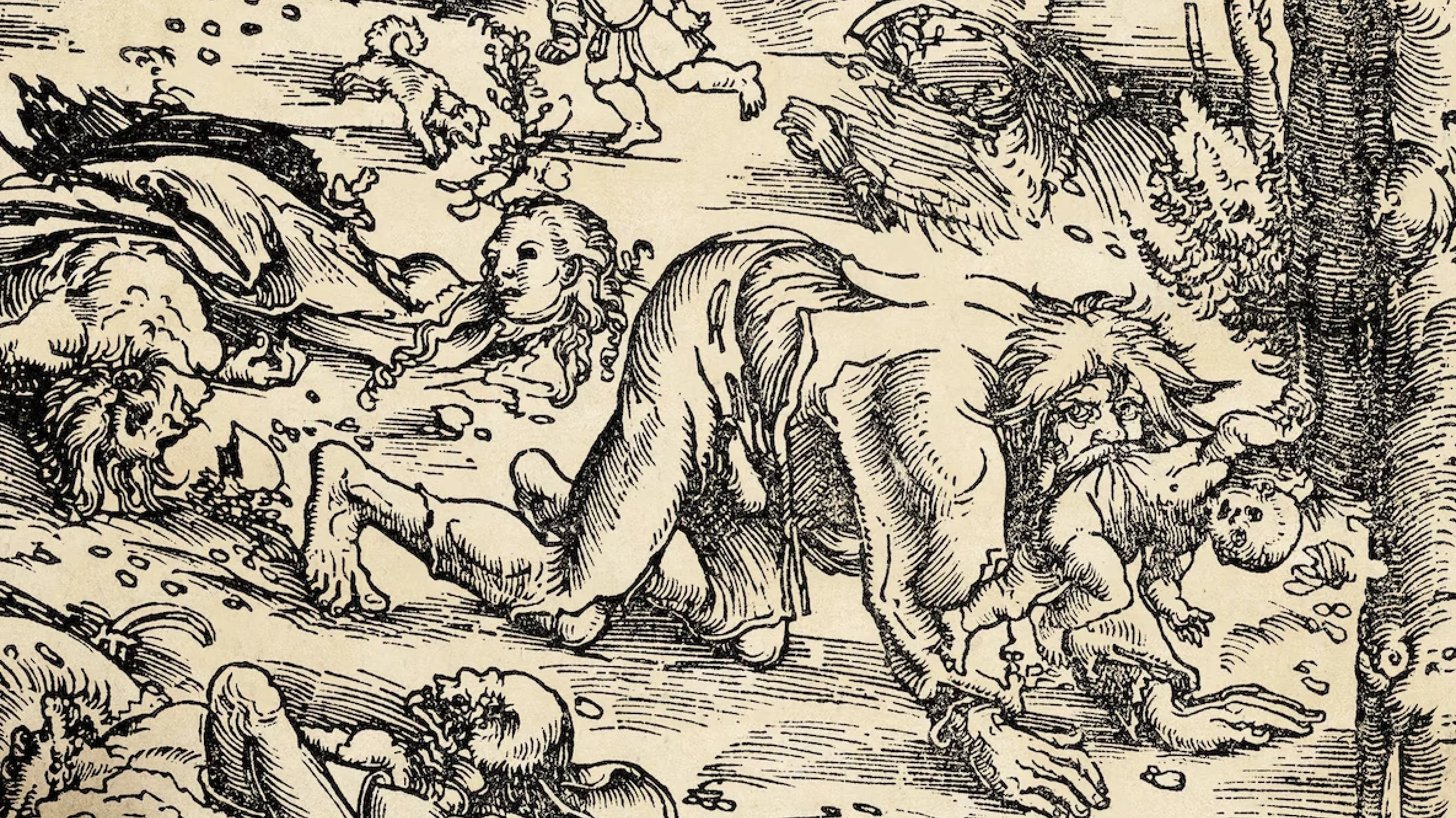 Making a Monster: Werewolf Hiking Trail