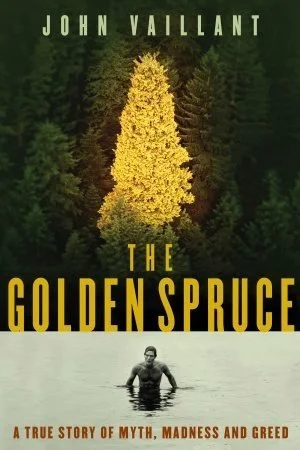 The-Golden-Spruce-Stock.jpg
