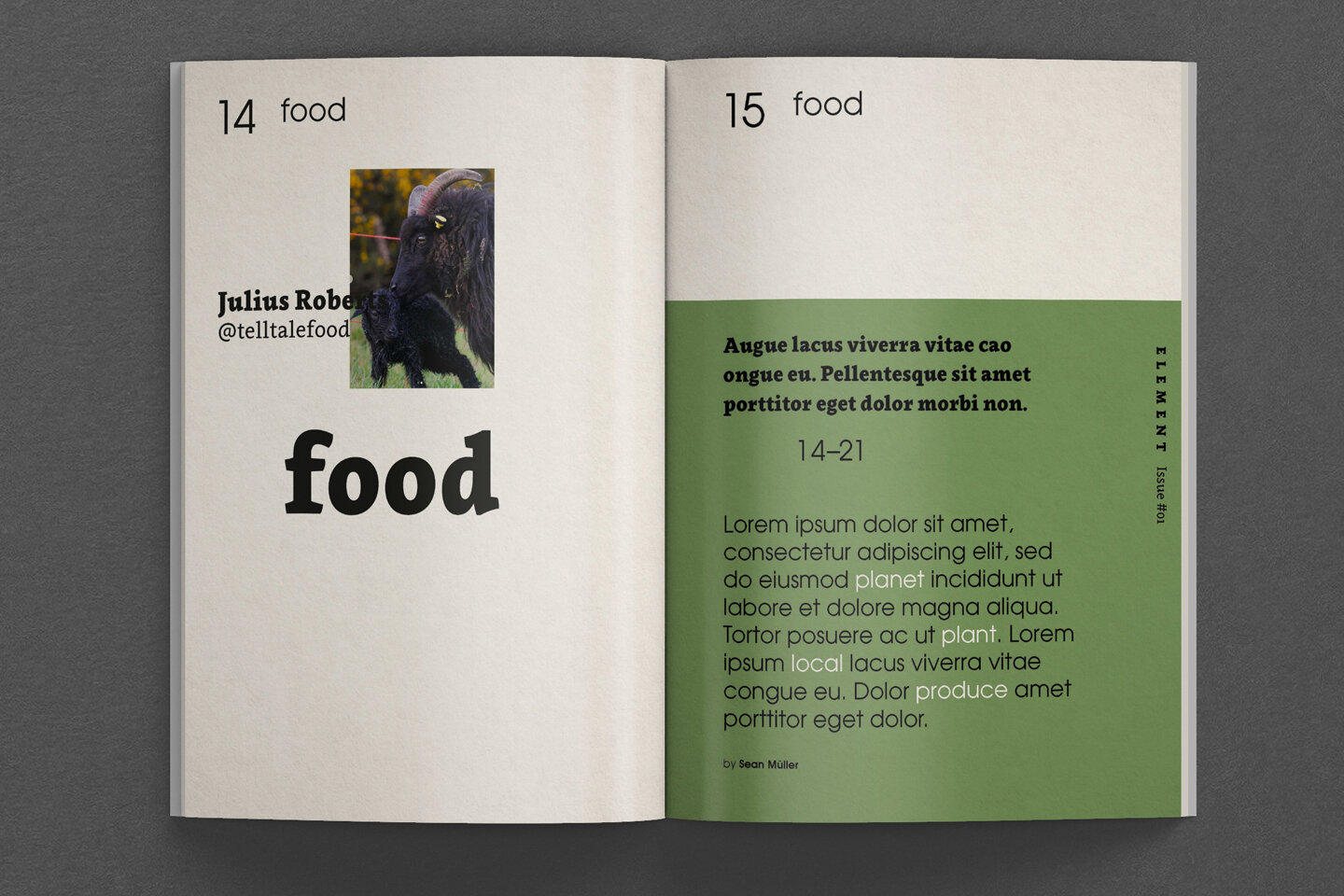 333_element_food03.jpg