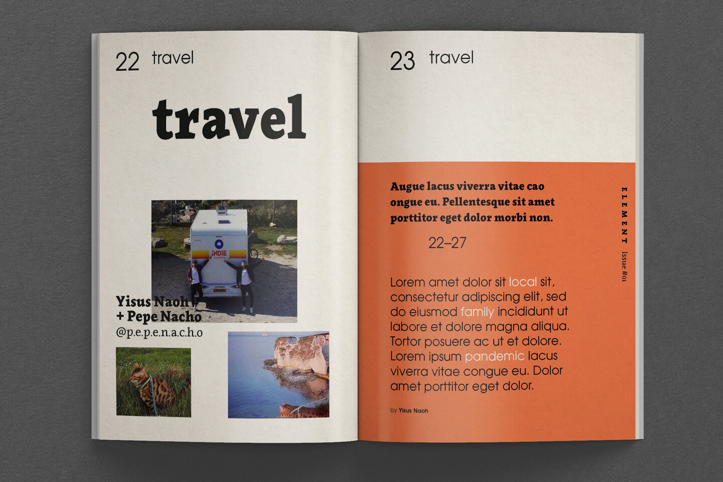 333_element_travel01.jpg