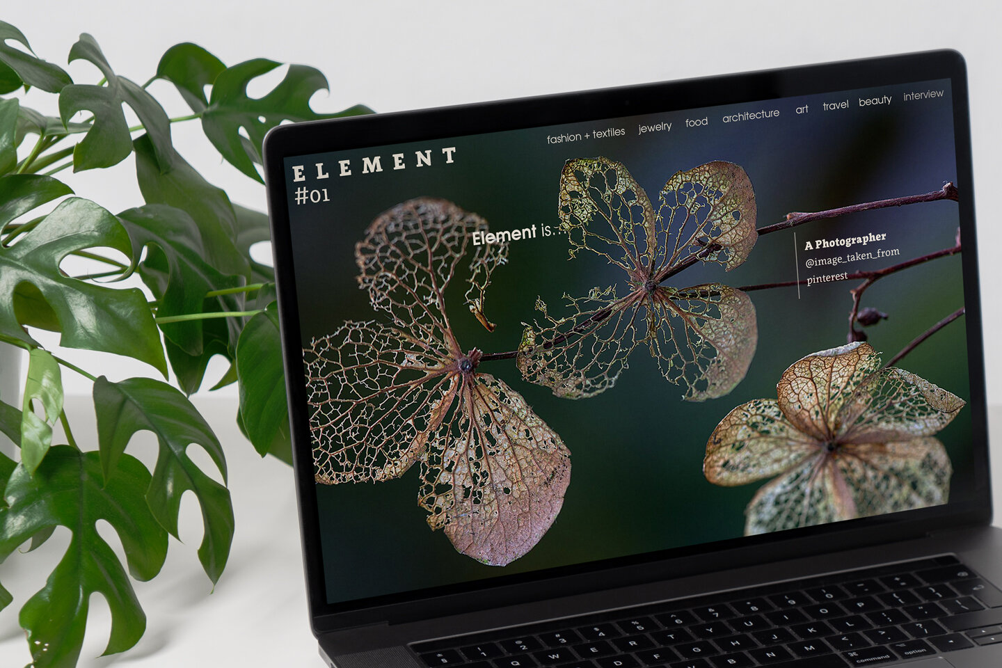 333_Element_home01A.jpg