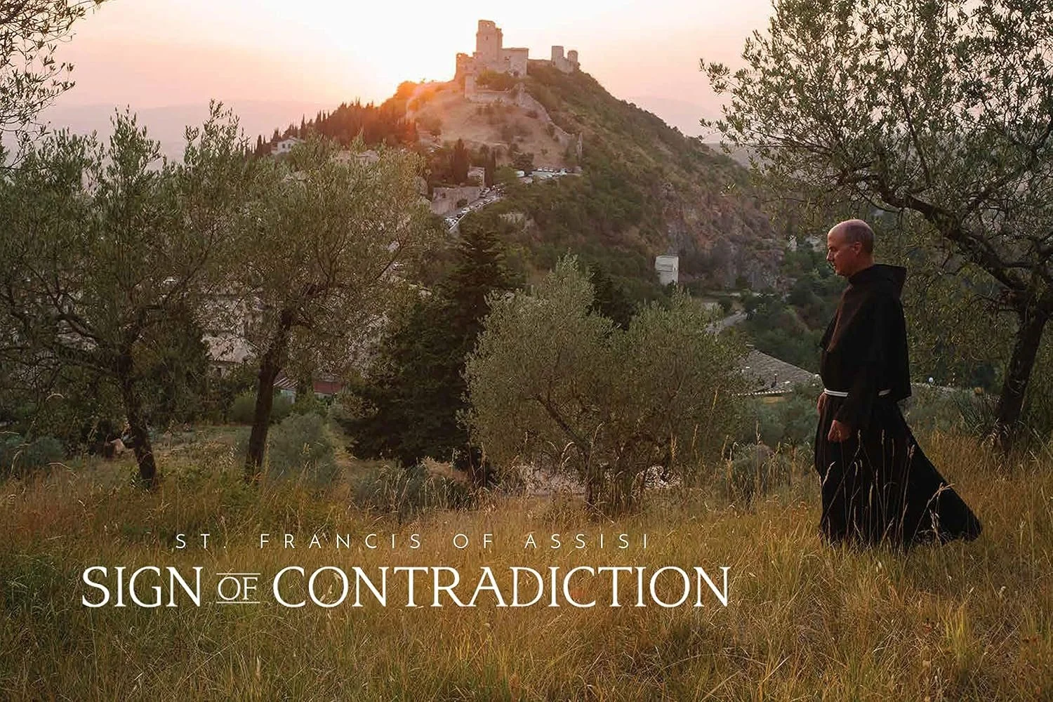 Movie Night & Potluck: Sign of Contradiction