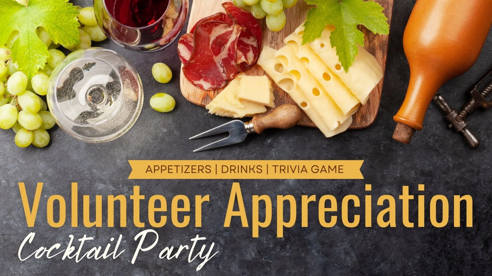 Volunteer Appreciation Party