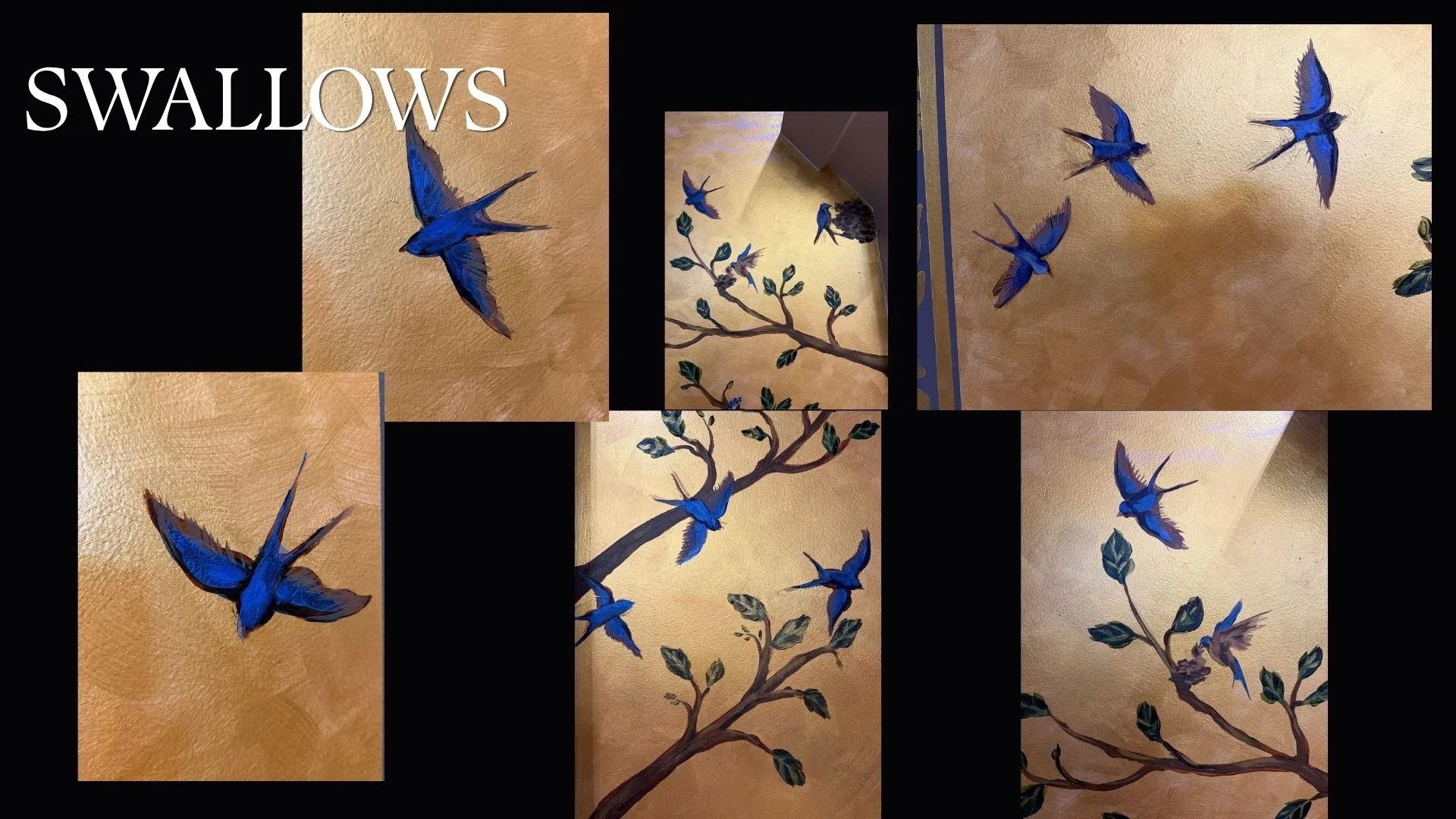 Swallows.jpg