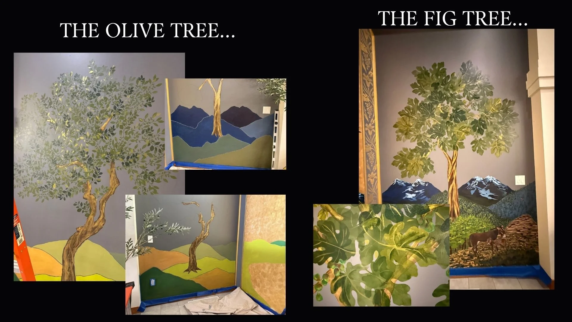 Olive and Fig.jpg