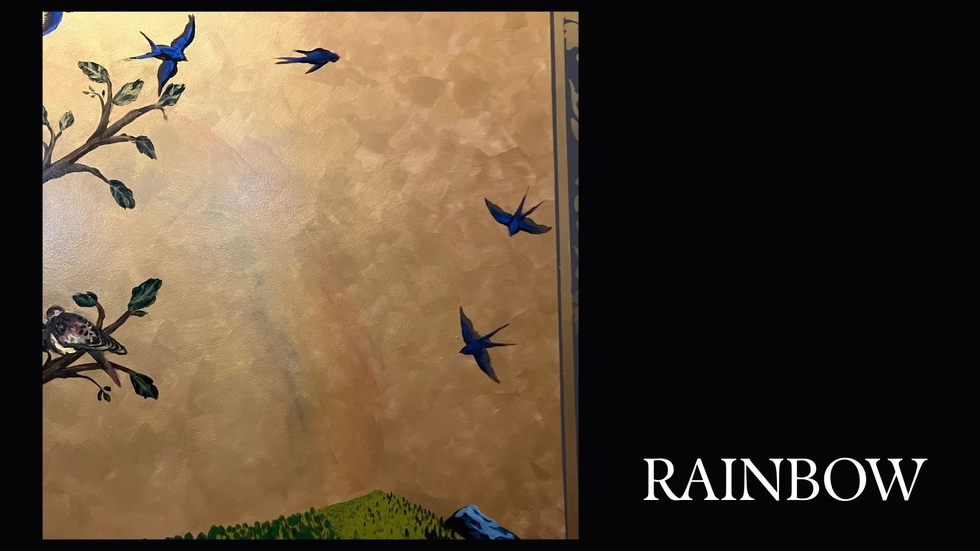 Rainbow.jpg