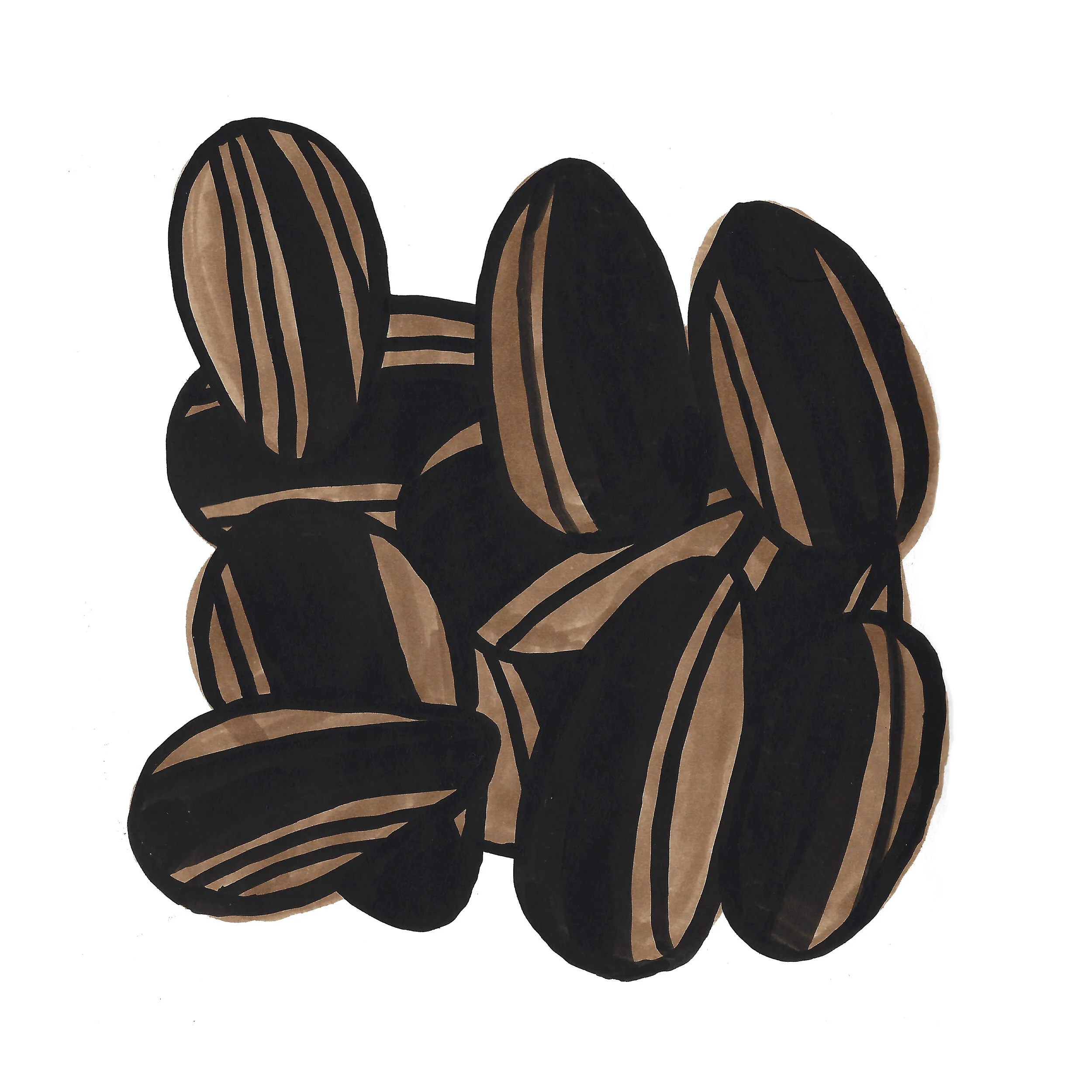 sunflower seeds square.jpg